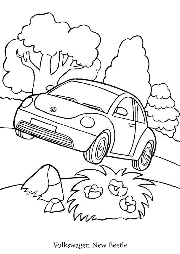 auto5