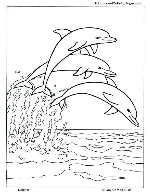 kleurplaat-dolfijn-8