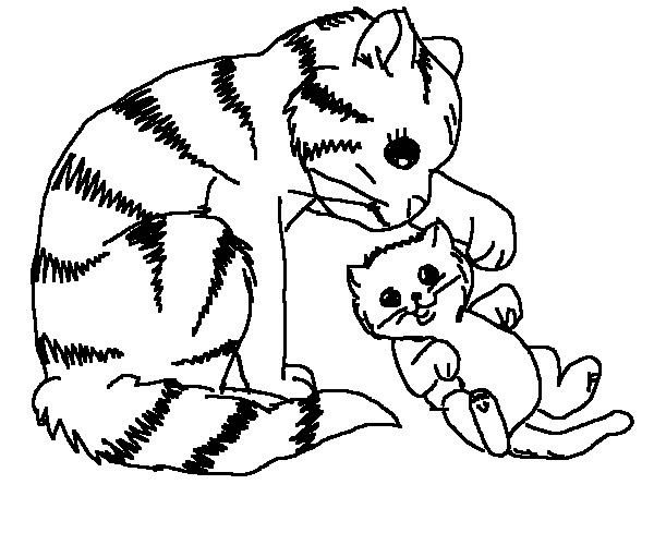 poes7