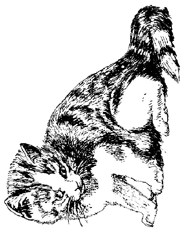 poes9