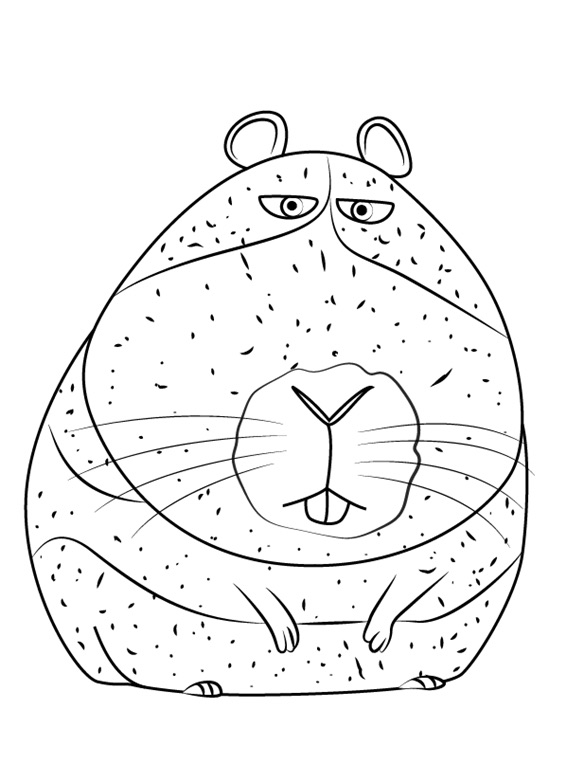 huisdiergeheimen-kleurplaat-7