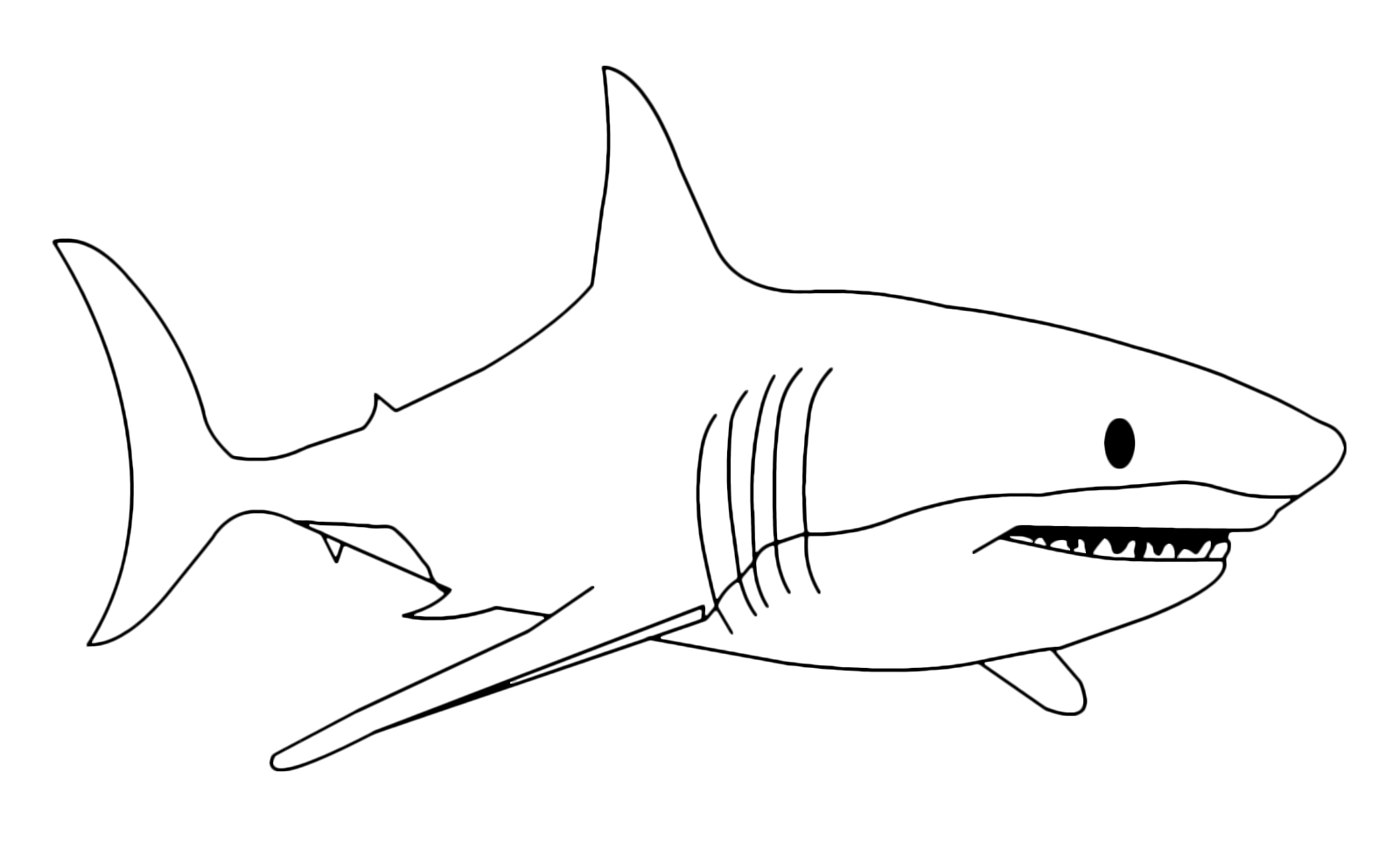 kleurplaat-haai-12