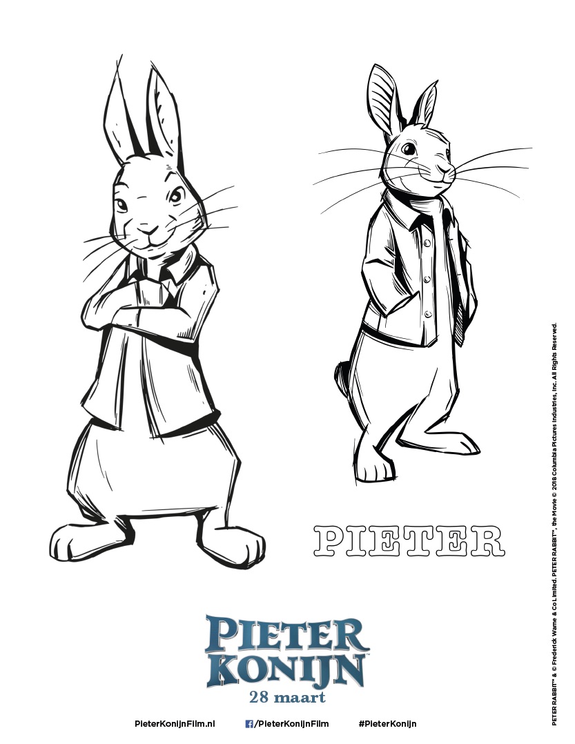 pieter-konijn-kleurplaat07