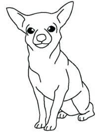 Kleurplaat Van Een Hond Printen Leuk Voor Kids