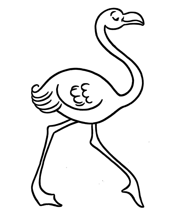 flamingo11