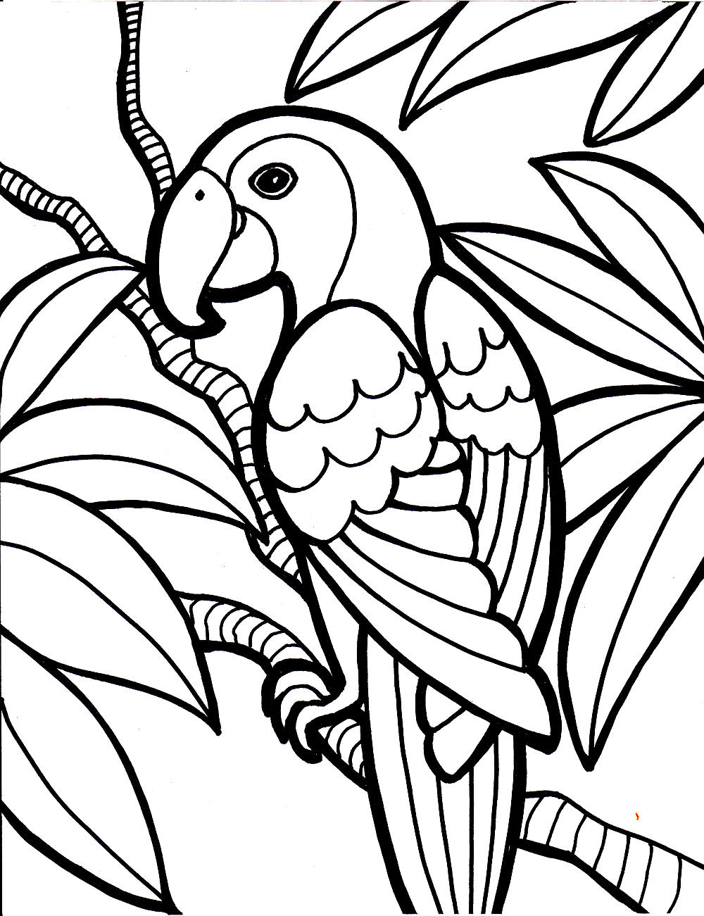 papegaai in de jungle
