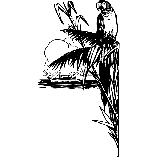 topische papegaai