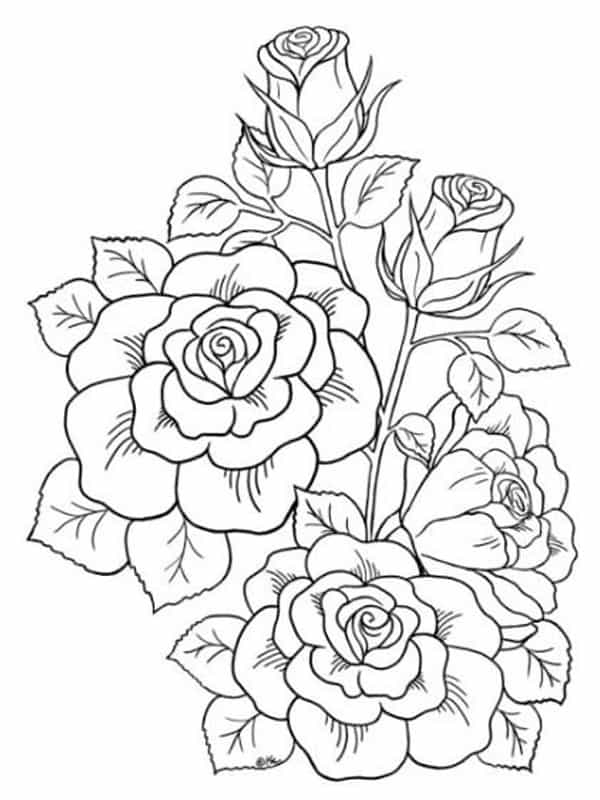 rozen-tattoo