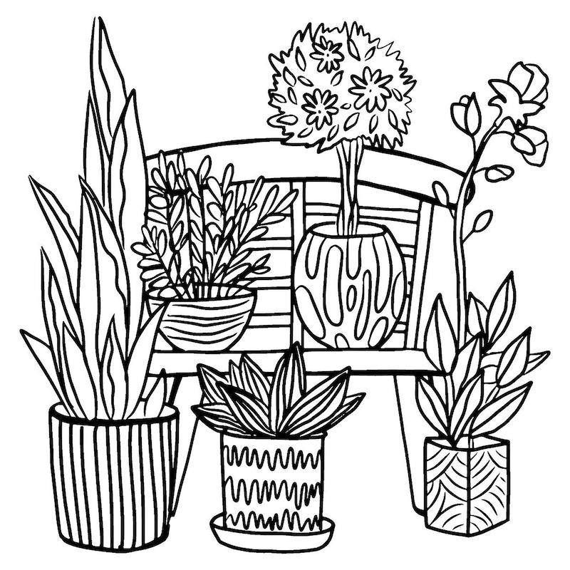 planten in huis