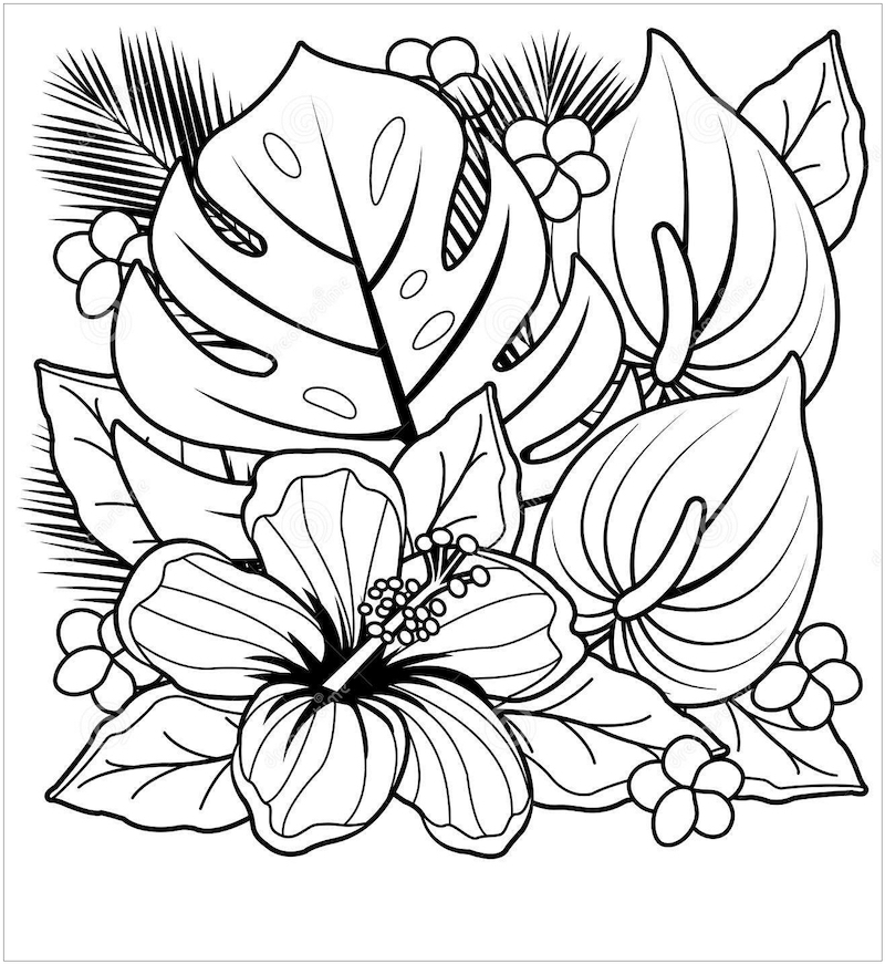 tropische planten